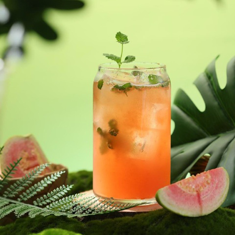 Spring Refresher