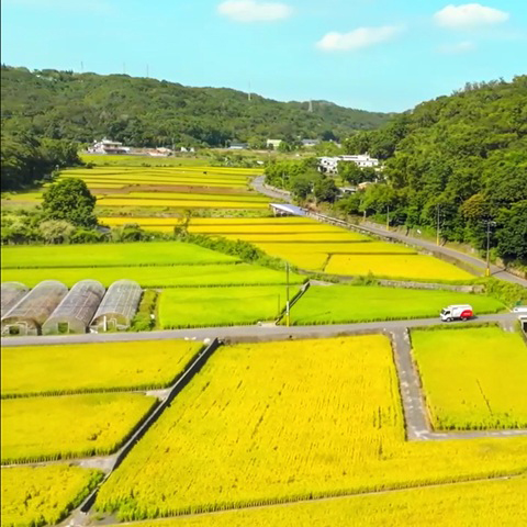 Certified farmland supplying traceable, sustainably grown ingredients.